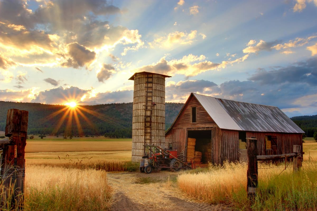 A rural homestead landscape with traditional water infrastructure